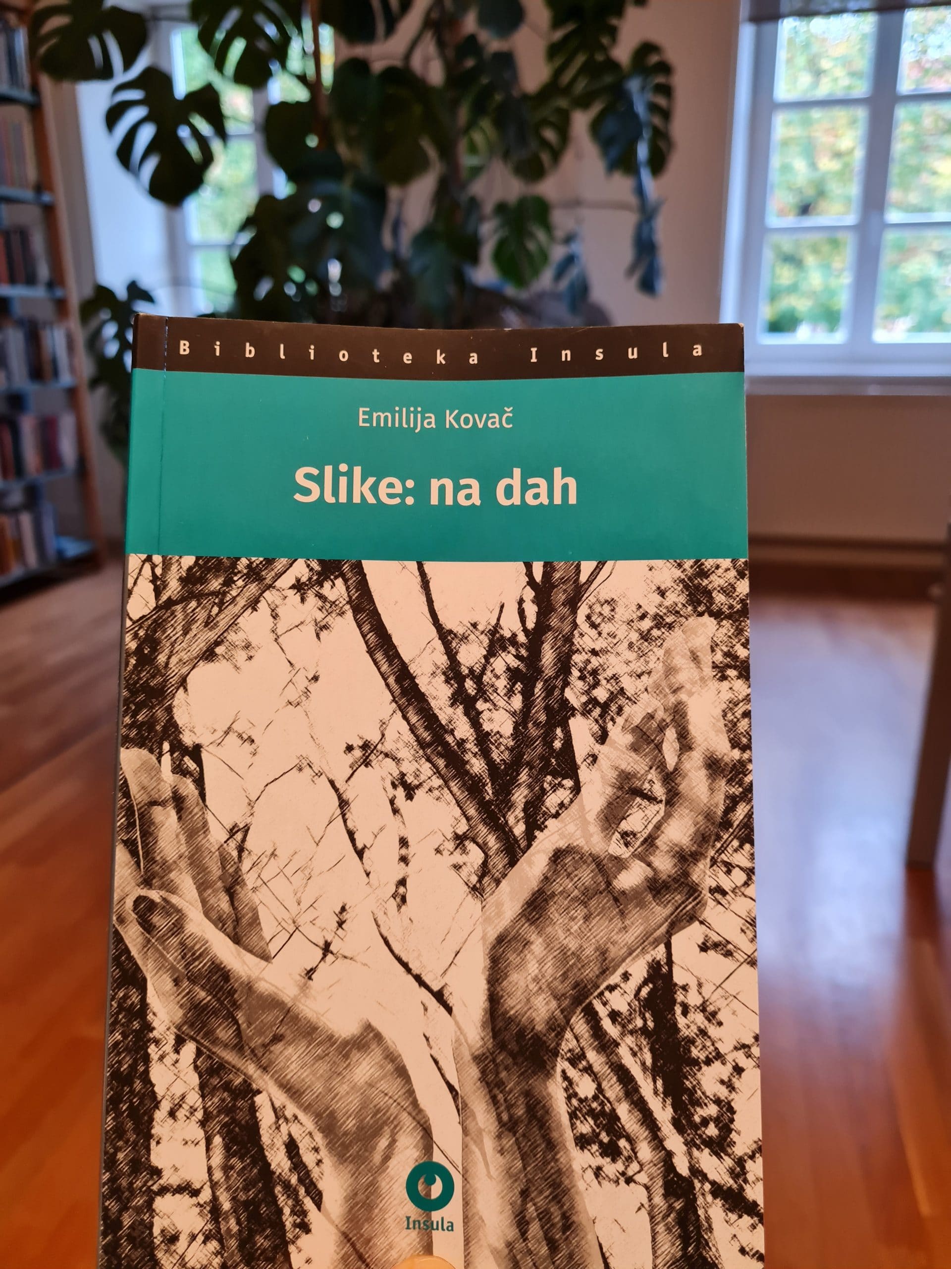 Poziv na Predstavljanje knjige Emilije Kovač “Images: Breath-held”