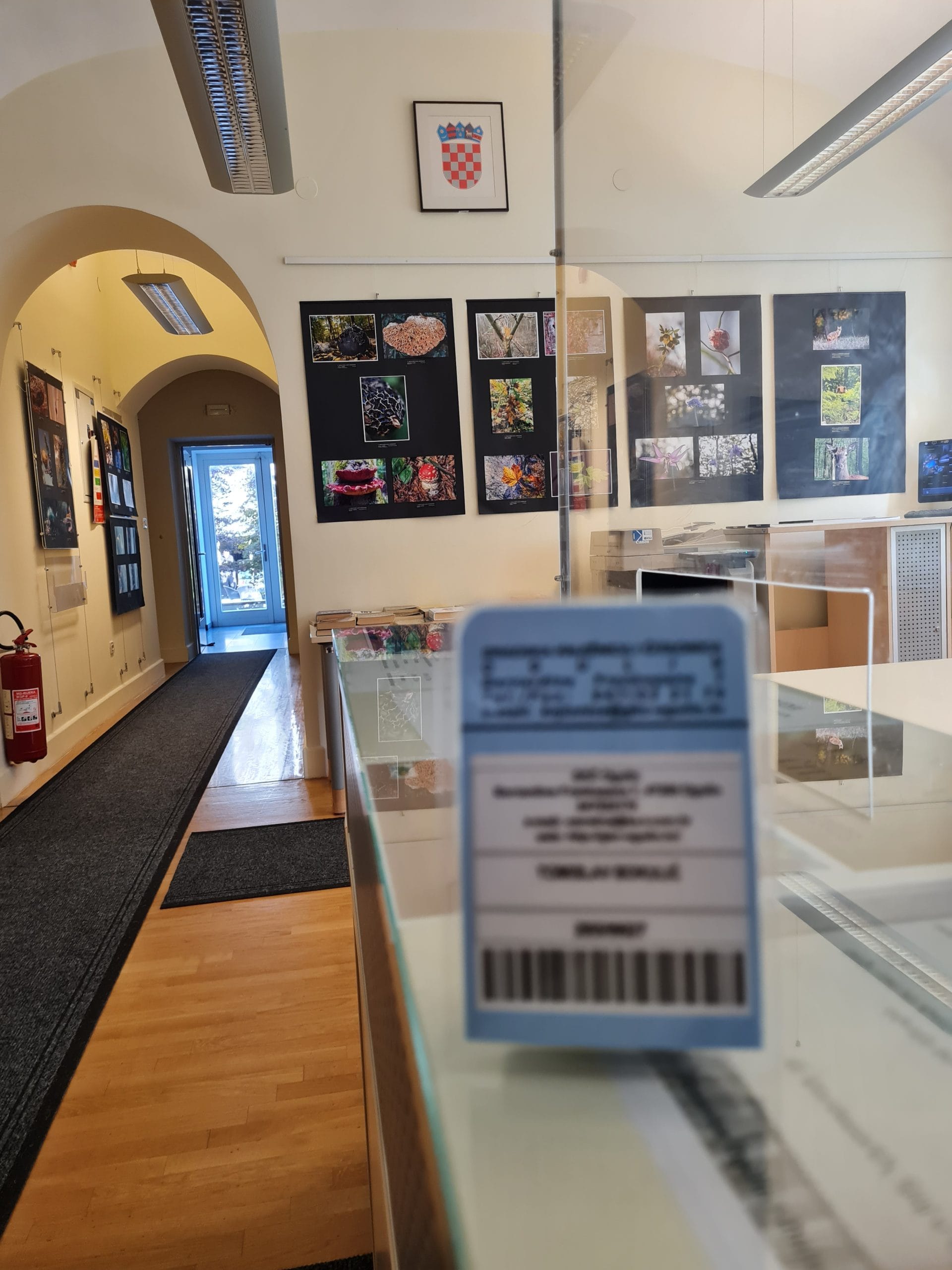 Gradu za rođendan – besplatna upisnina za nove članove Gradske knjižnice