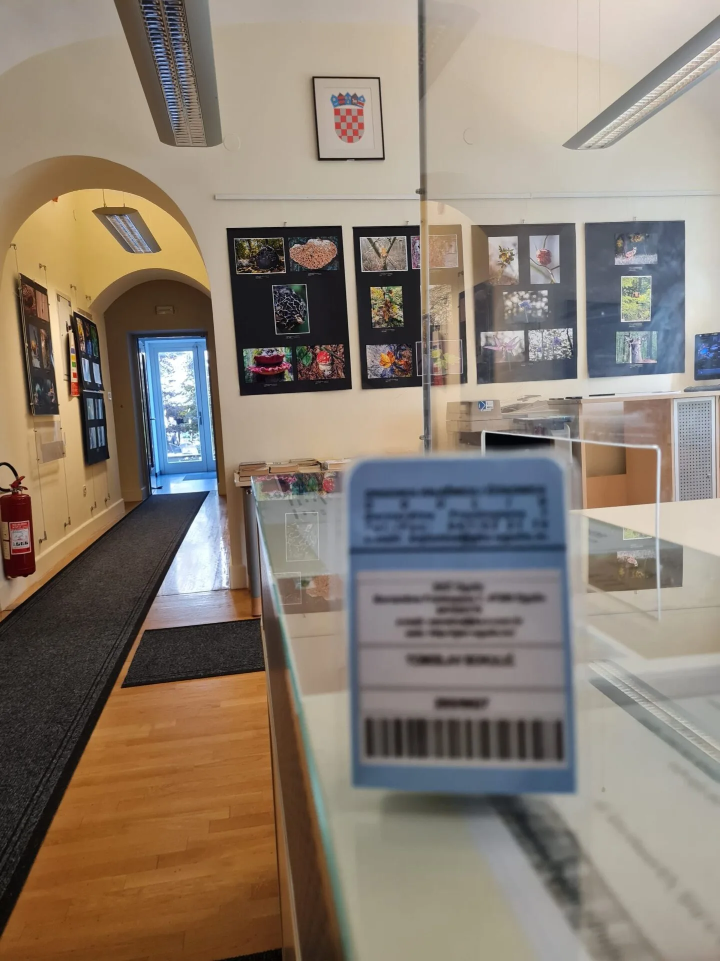 Gradu za rođendan – besplatna upisnina i obnova za članove Gradske knjižnice