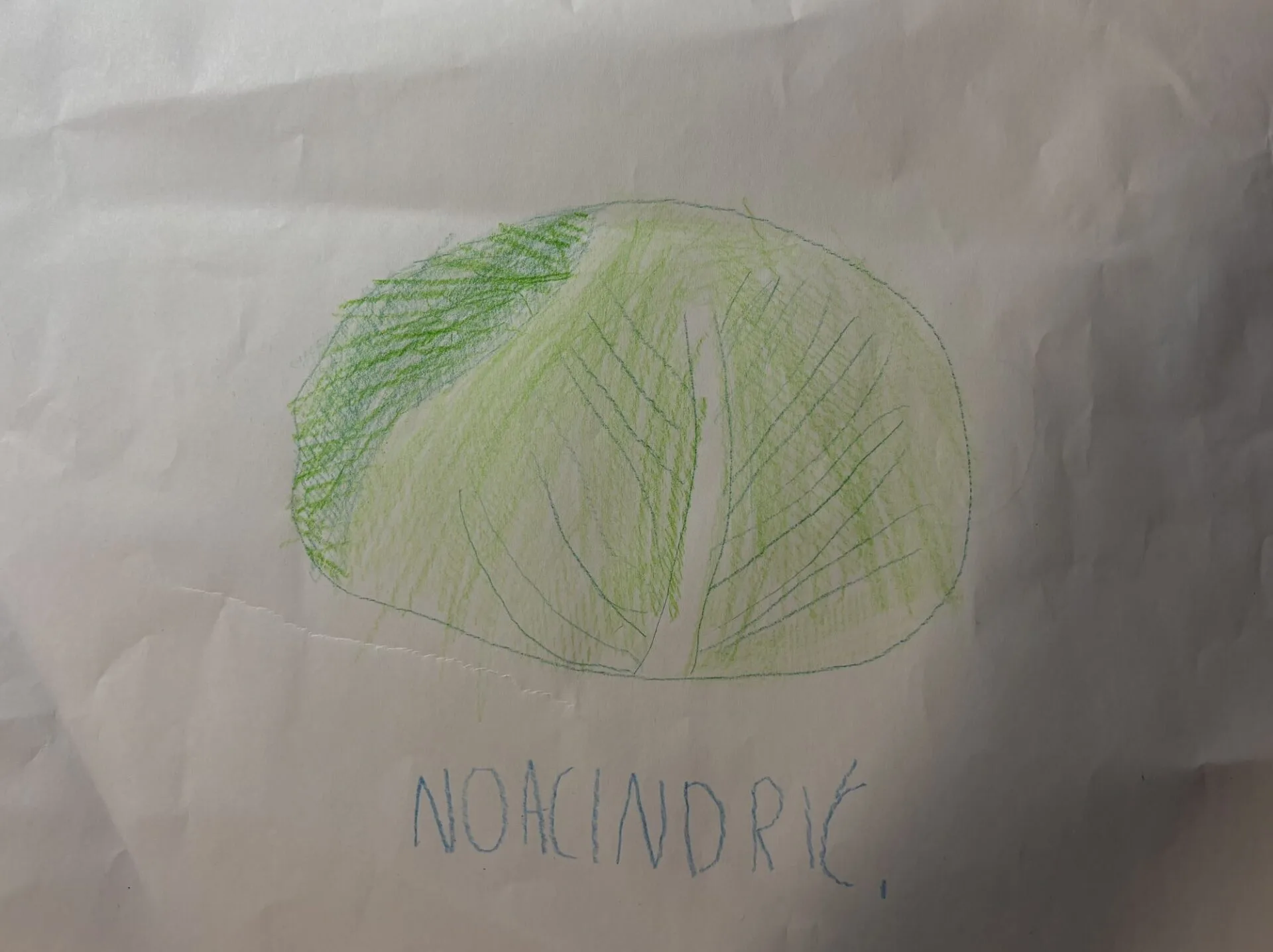 Radovi učenika sudionika Čarobne čarolije čitanja