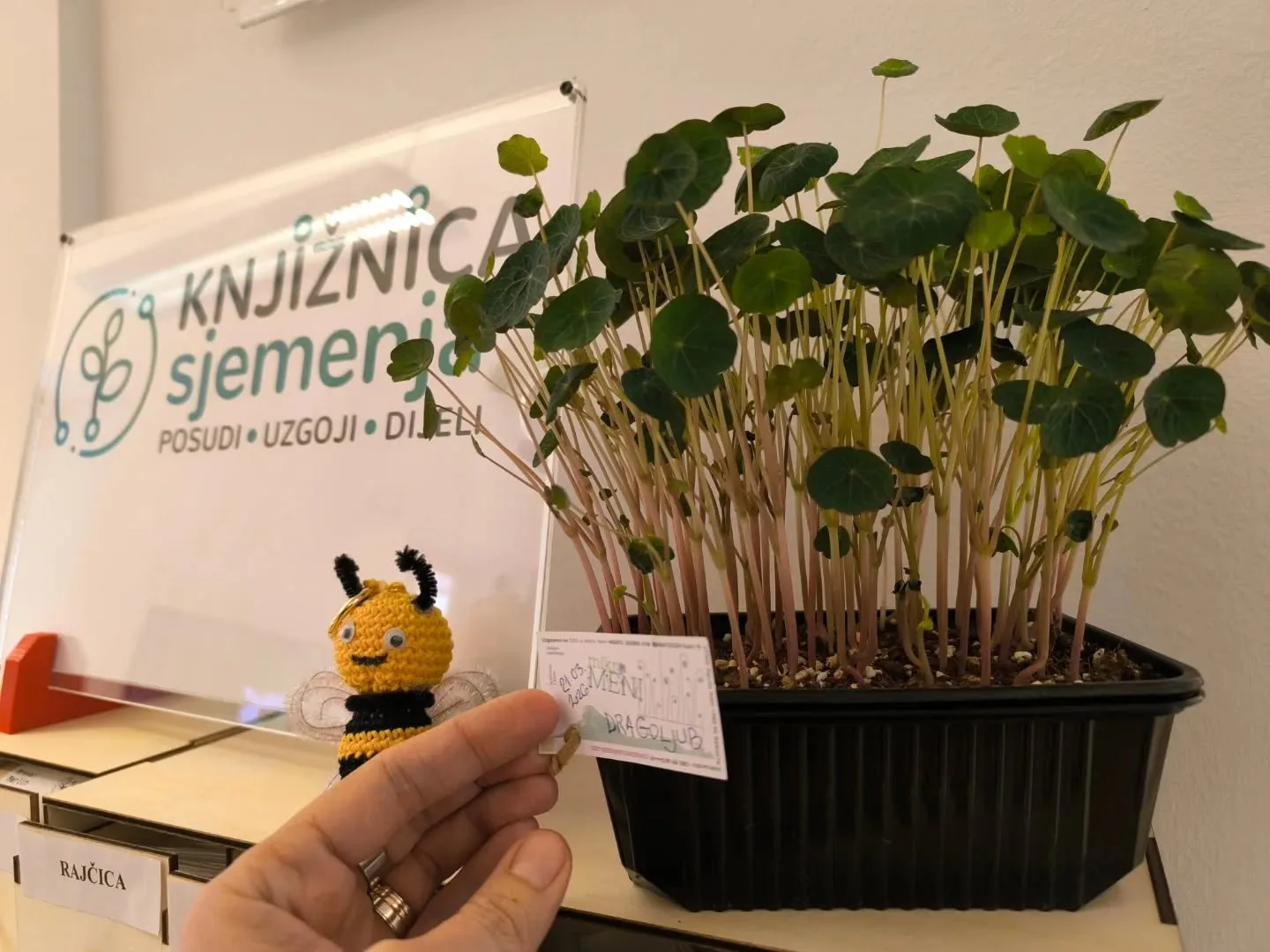 Dragoljub za degustaciju